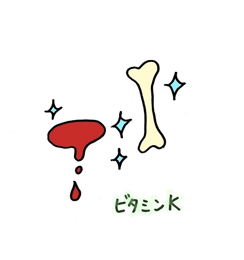 20211112ビタミンK.jpg